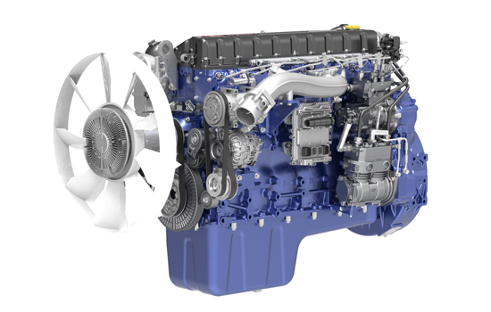 mg不朽情缘(中国)官方网站