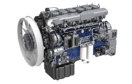 mg不朽情缘(中国)官方网站