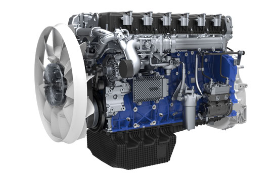 mg不朽情缘(中国)官方网站