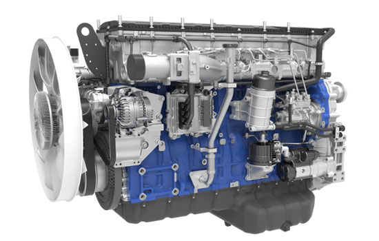 mg不朽情缘(中国)官方网站