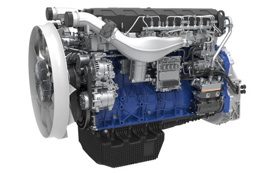 mg不朽情缘(中国)官方网站