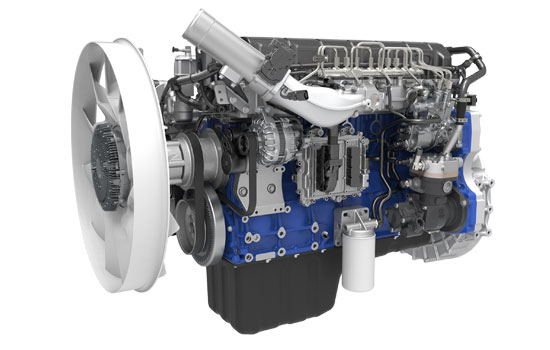 mg不朽情缘(中国)官方网站