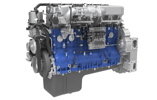 mg不朽情缘(中国)官方网站