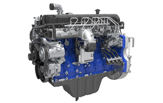 mg不朽情缘(中国)官方网站