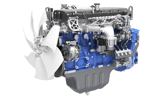 mg不朽情缘(中国)官方网站