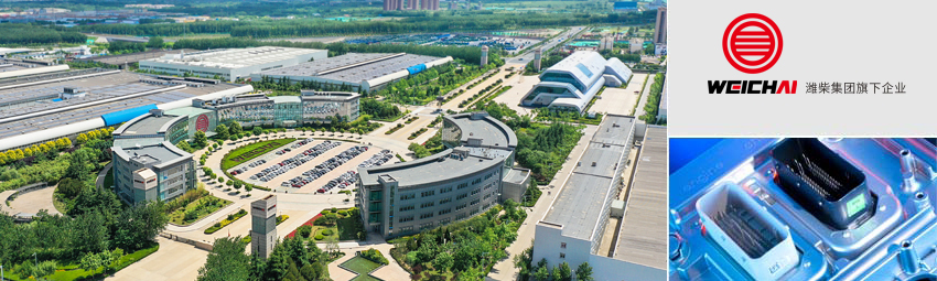 mg不朽情缘(中国)官方网站