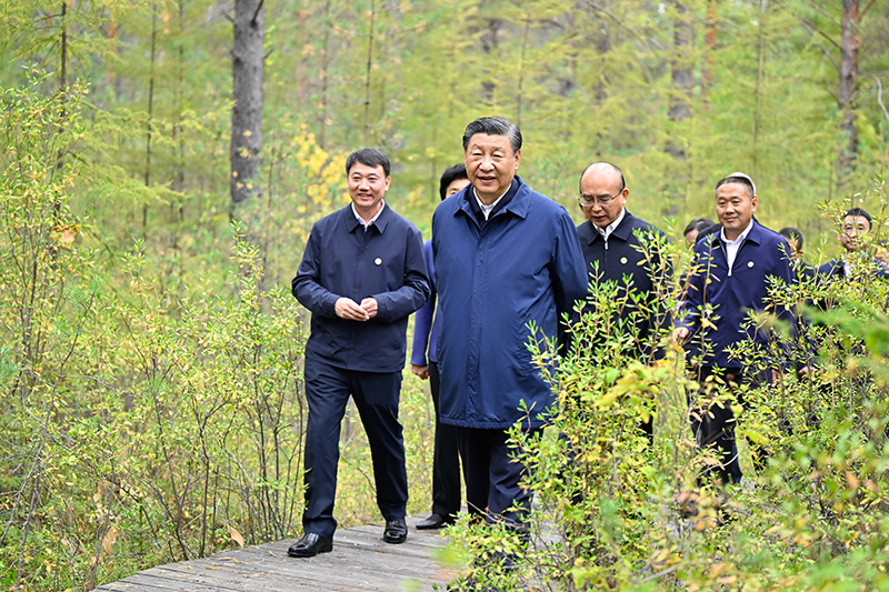 9月6日至8日，中共中央总书记、国家主席、中央军委主席习近平在黑龙江考察。这是6日下昼，习近平在大兴安岭地区漠河市漠河林场自然林区考察