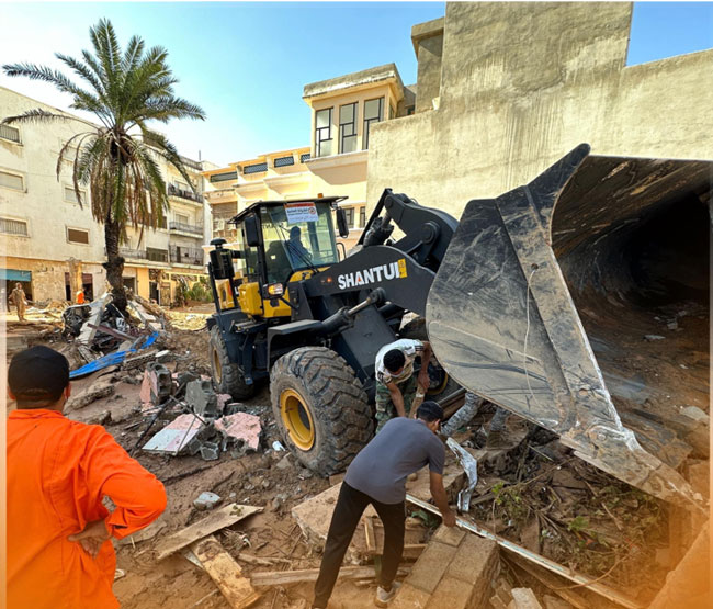 mg不朽情缘(中国)官方网站