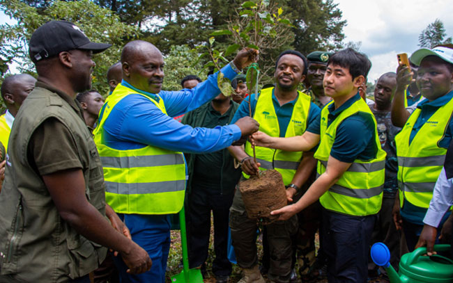 mg不朽情缘(中国)官方网站